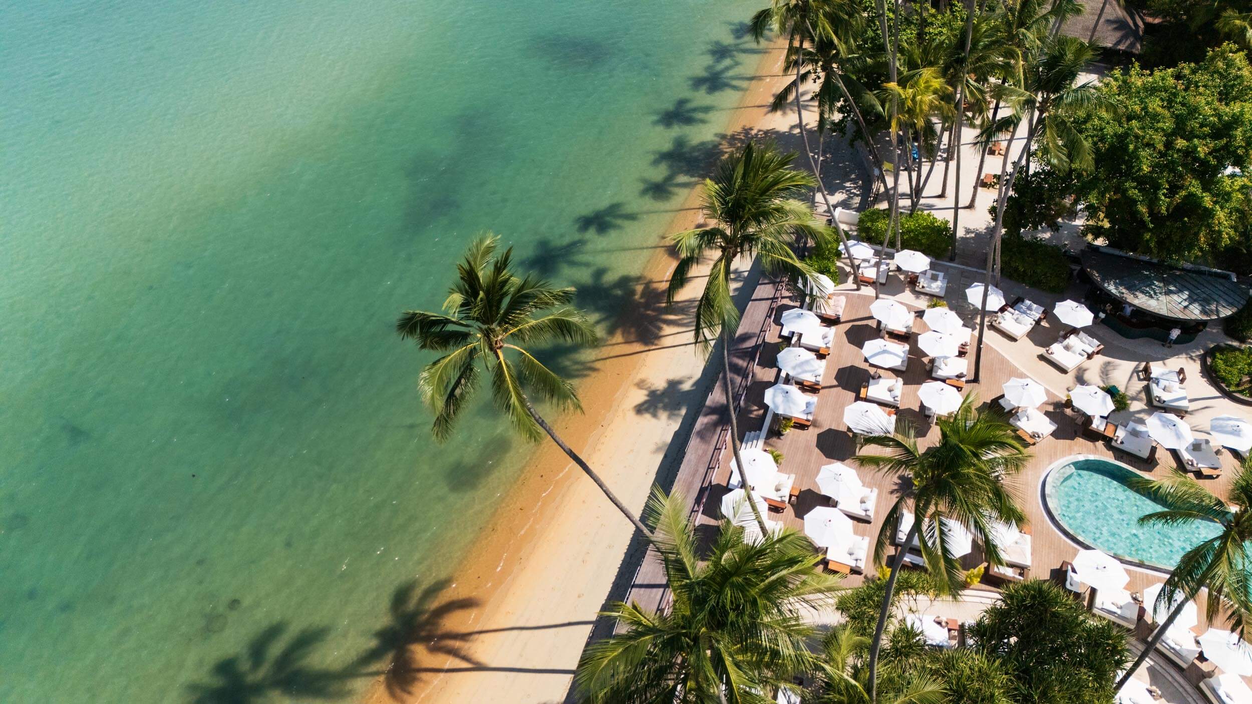 U meni internet orqali Skype orqali jinsiy aloqa qilishga undadi. Porno yulduzning ogzida